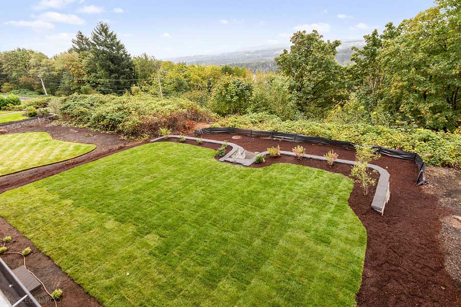 The Lily Custom Home Back Yard