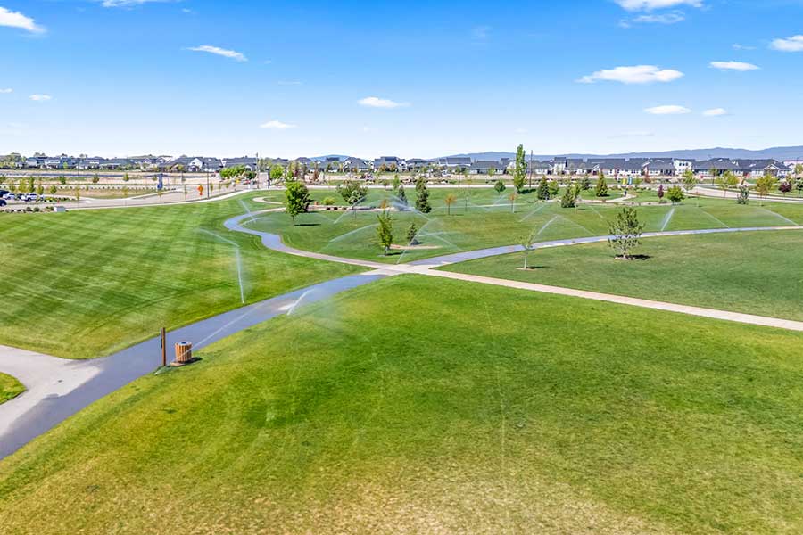 lavender-heights-gallery-20250506152542_0159_D